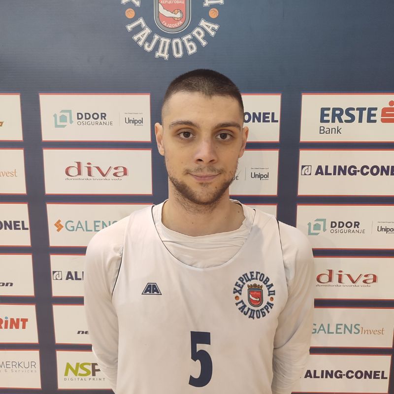 aleksa-zarić